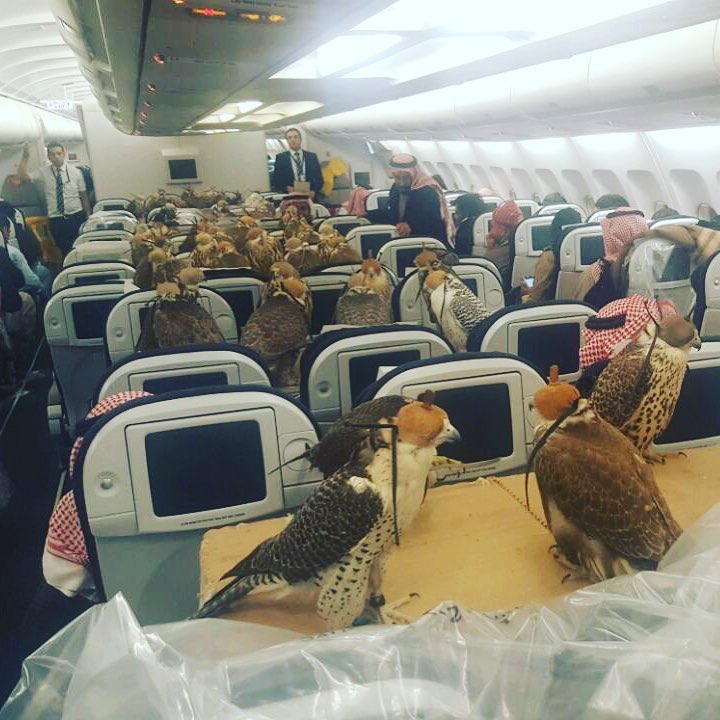 Η φωτογραφία που έγινε viral: Πτήση της Qatar Airways με Σαουδάραβα πρίγκιπα και 80 ασυνήθιστους συνταξιδιώτες!