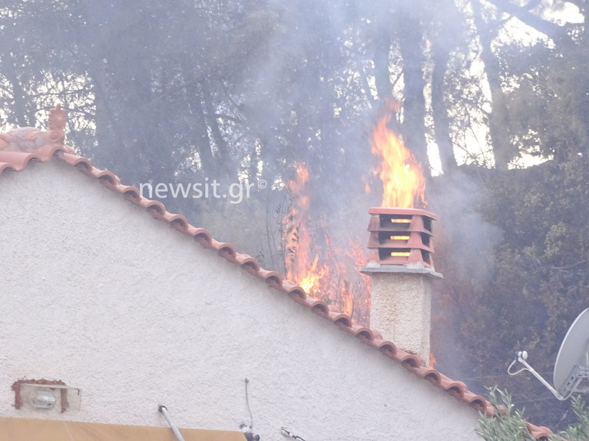 Μια νεκρή στη φωτιά στους Αγίους Θεοδώρους - Κάηκαν σπίτια (εικόνες)
